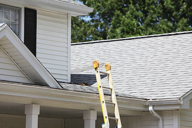 Affordable siding repair and maintenance services in Buckeye, AZ